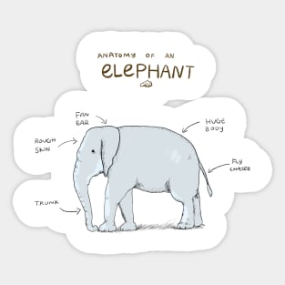 Anatomy of Elephant Sticker